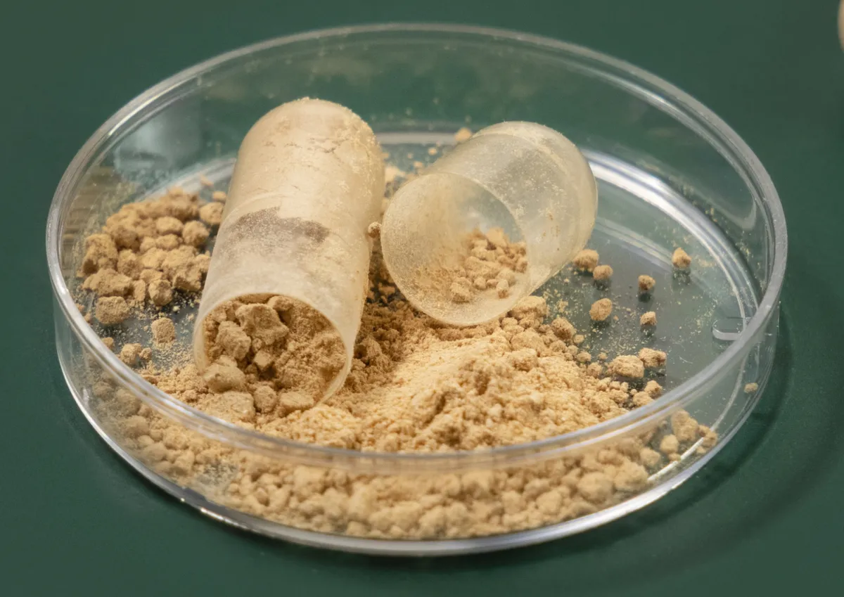 Accompagnement à la formulation : sélection des ingrédients, tests, lots pilotes